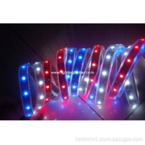 SMD5050 30leds/m RGB LED magic strip